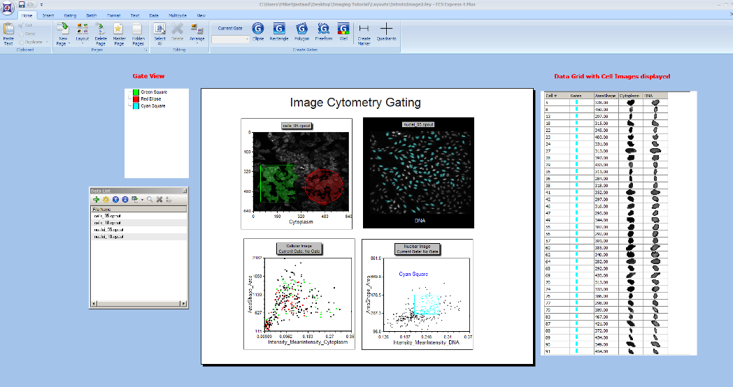 图T28.24  Complete Layout view for IntroToImage2.fey (IntroToImage2.fey版面的完整版面视图)